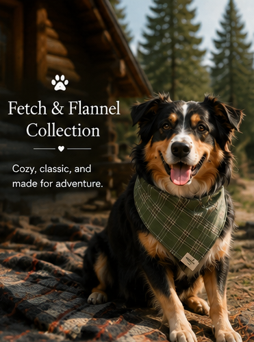 German Shepherd wearing a HoneyPaw Pets sage green plaid dog bandana from the Fetch and Flannel collection