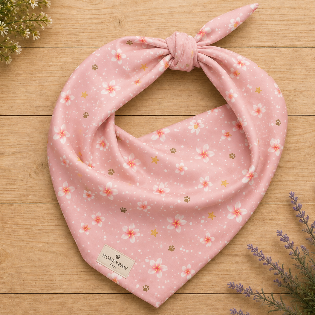 Aloha Paws dog bandana featuring pink plumeria flowers, paw prints, and golden stars on a blush pink background by HoneyPaw Pets.