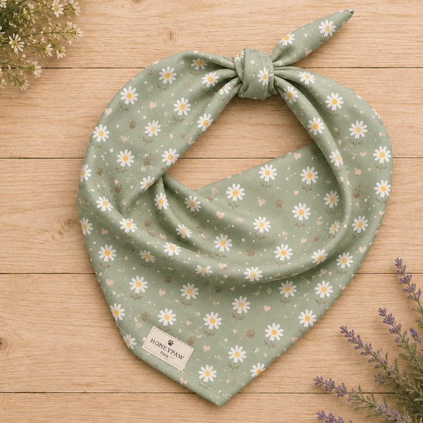 Daisy Dream dog bandana featuring white daisy flowers, golden paw prints, and tiny hearts on a soft sage green background by HoneyPaw Pets.