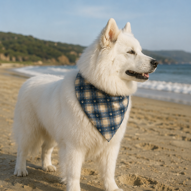 White dog with a blue plaid bandana standing on a sandy beach with ocean and mountains in the background.
