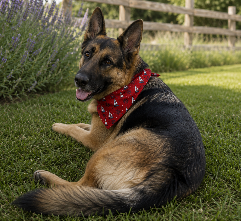 German Shepherd lying on grass with a red bandana, lavender flowers, and wooden fence in the background