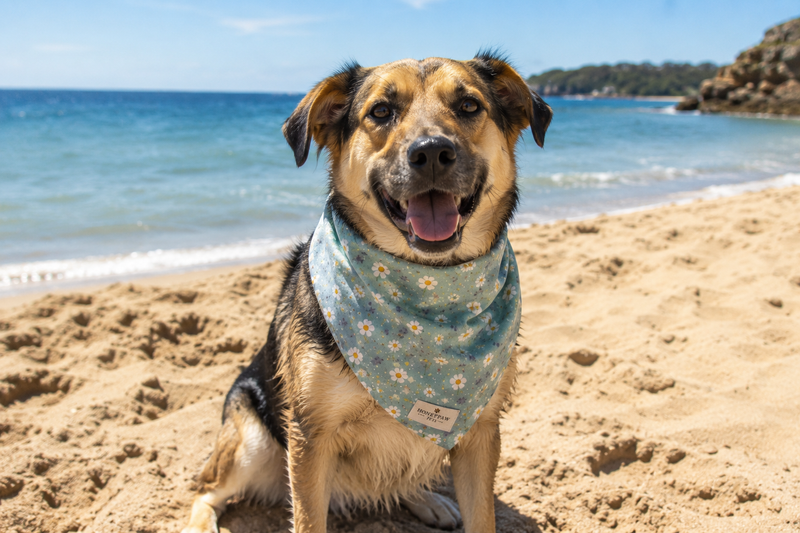 Dog wearing a bandana on a sandy beach with ocean and sky in the background