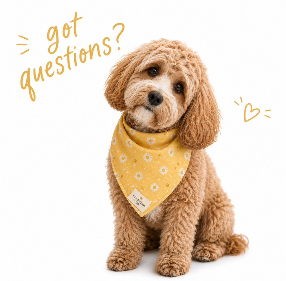 Dog wearing a yellow bandana with floral pattern on a white background