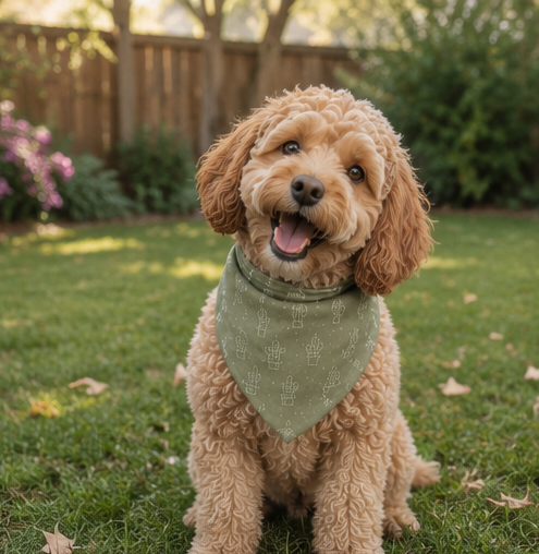 Brown dog wearing a green bandana sitting in the grass in a backyard