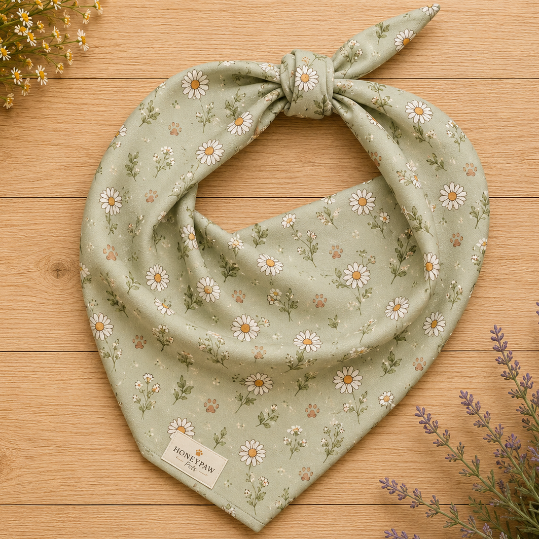 Morning Meadow dog bandana featuring a soft sage green background with white daisy flowers and delicate wildflower accents by HoneyPaw Pets.